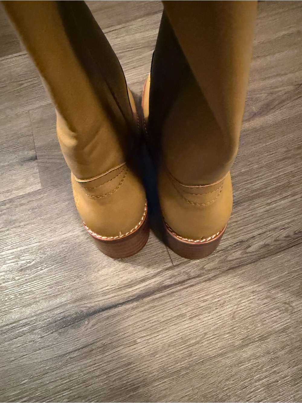 NWOT WOMEN'S FRYE & CO. MIRANDA 14 KNEE HIGH BOOTS BANANA SIZE 7.5 - Picture 10 of 11